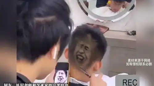 男子去理发店剪头发,让发型师按照表情包剪发