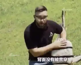老外测试中国包邮防弹板本想看笑话却被震惊