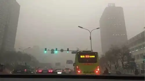 一针见血为什么华人移民澳洲后,就再也回不去了
