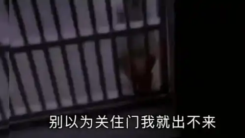 搞笑视频这人与蚊子有多大的仇,居然要与蚊子同归于尽
