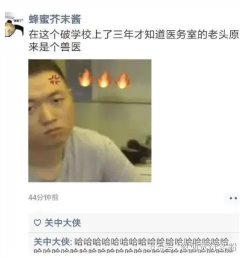gif搞笑趣图我就开了个柚子,他们为啥说我单身
