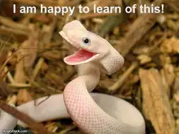 sheveryhappyabout
