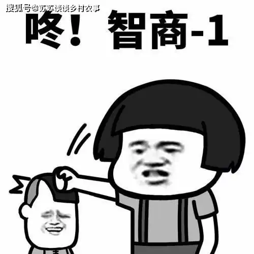 搞笑gif段子这样玩相扑,是不是犯规了主管