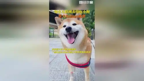 废柴表情包柴犬去世,主人回应请记住它为这个世界带来的快乐

