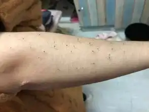 过几天以后的你就这样的真实的让人想打人搞笑图片
