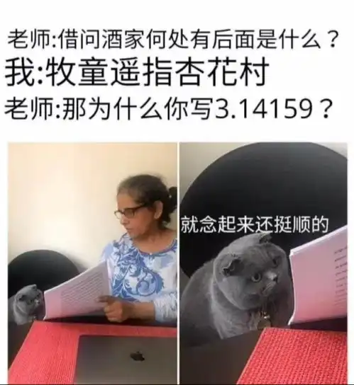 搞笑图片神啊如果没有办法把我变瘦的话,就把我的朋友们变胖吧
