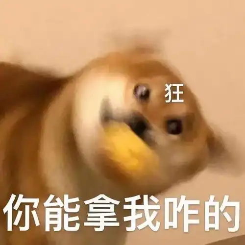 沙雕表情包给我收下
