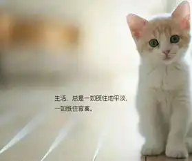 带字的搞笑图片,越多越好

