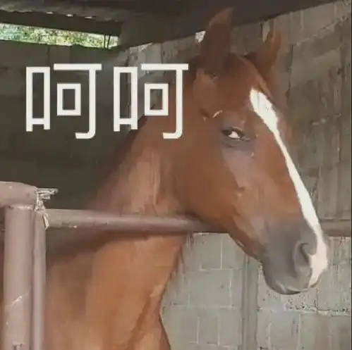 沙雕搞笑表情包好羞涩呢
