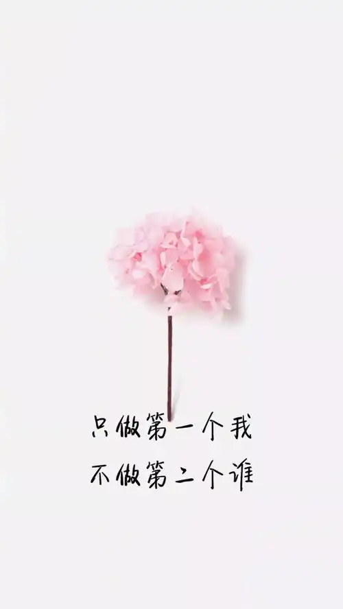 有趣的文字壁纸
