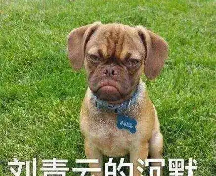 幽默笑话我叫你一声,你敢答应么
