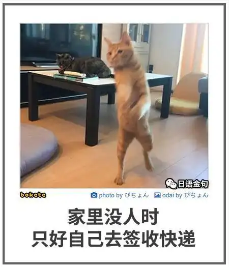 每日沙雕研究表明,睡觉可以有效治疗失眠
