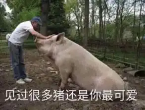 自曝富豪亲密照遭正室封杀,秒嫁小鲜肉也改不了偷吃本性
