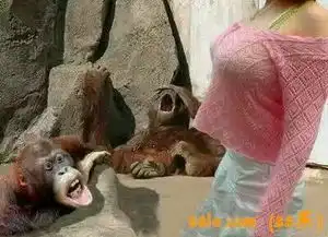 来这里发表,只是娱乐,你们董我的意思吧
