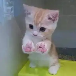 玩笑
