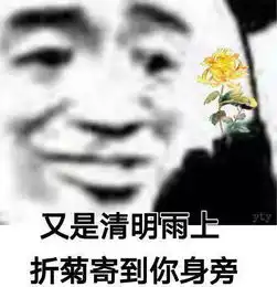 笑死人台湾媒体挖坑大陆游客,反被小哥实力嘲讽

