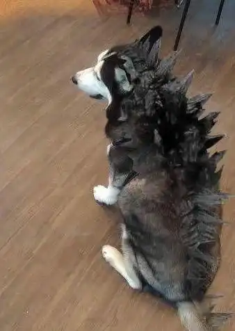 找亮点
