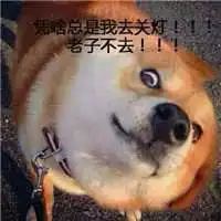 柴犬头像卡通搞笑微信头像图片大全
