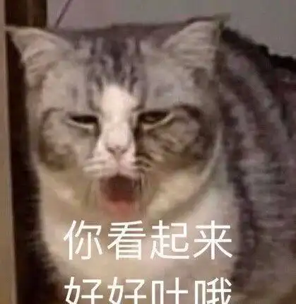 搞笑gif趣图娶个漂亮妹子容易吗,伴娘这身材,新郎就怕要出事
