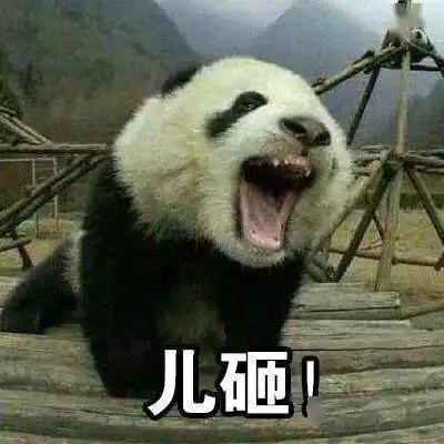 各种动物叫儿砸表情包
