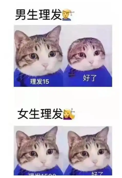 今天你笑了吗看到这些反正我是笑了,哈哈哈
