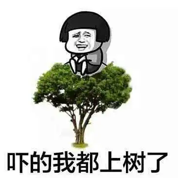 吓得我都上树了表情包
