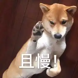 学新规上海财经大学学生管理规定和违纪处分规定
