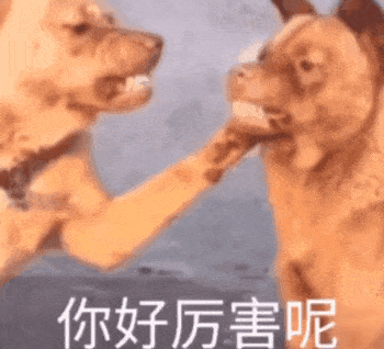 近期热门表情包精选
