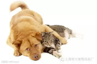 狗猫为什么一见面就要打架神话故事
