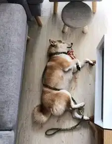 朋友圈最新搞笑截图合辑哈哈哈哈哈哈哈哈哈.
