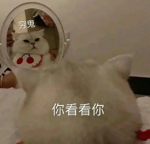 淡季别只会打折了没业绩还容易亏本
