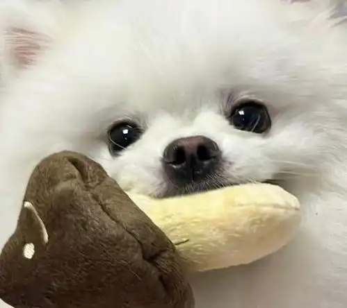奇奇怪怪的搞笑头像
