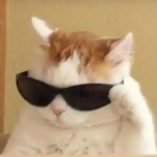 这个小姐姐有点猛
