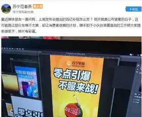 让友商措手不及苏宁双十一掀起百亿补贴大战
