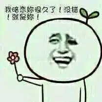 男生表白表情包,一辈子很短,找一个有趣的人
