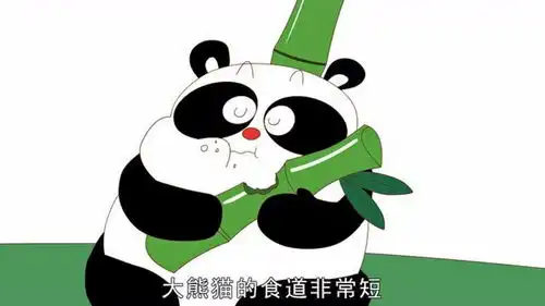 动物冷知识第10集大熊猫边吃边拉
