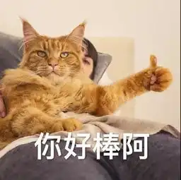 我们来聊聊张雨绮到底real耿直还是装强势
