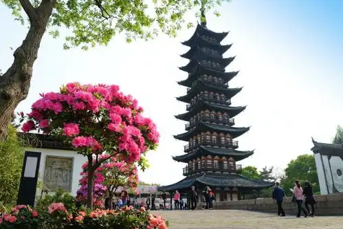 毕业季玩乐指南丨跟着9号线乐游松江,魔都的底蕴与乐趣都在这里
