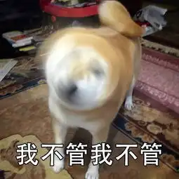 柴犬表情包带字
