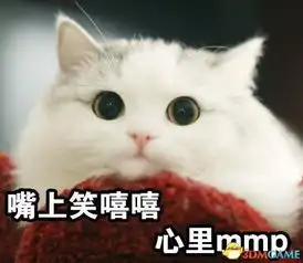 女主播吐槽虎豹骑坑队友你是对面派来的猴子吗
