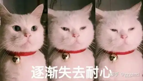 做全切双眼皮心路历程
