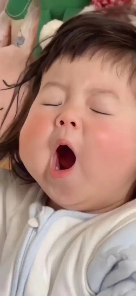 高清壁纸谁能拒绝得了丸子妹和大q宝
