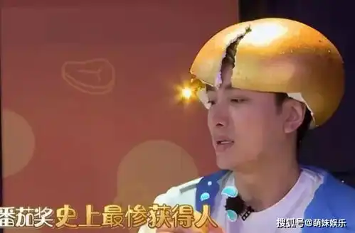 贾乃亮刻意搞笑,人设成第二个孙红雷,被极限挑战力捧
