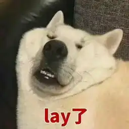 你喝醉酒后闹过什么笑话
