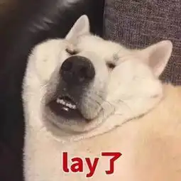 姓萌的猫蜀黍的微博微博
