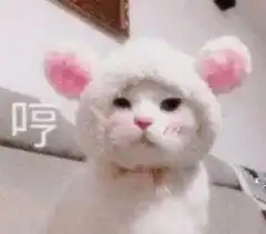 图片搞笑可爱带字头像图