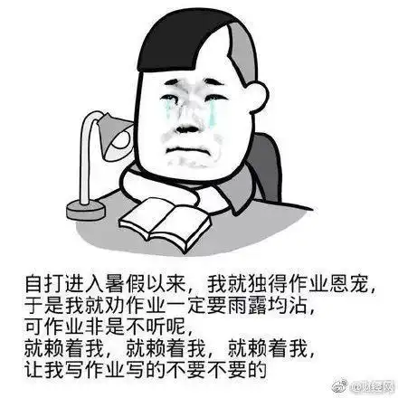 高中让人崩溃的暑假作业,网友你以为老师会检查暑假作业么
