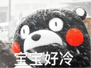 好冷啊带字表情图片妈的好冷啊表情包2016高清完整版下载东坡手机下载

