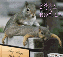 按摩按摩
