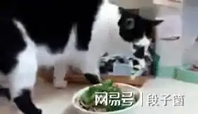 姑娘,你p得是挺好的,但还是漏掉了一个地方,不信你看看玻璃
